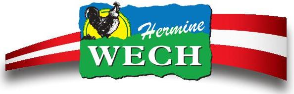 Logo von WECH Beteiligungsverwaltung GmbH